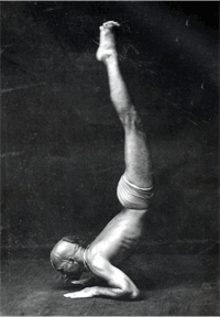 krishnamacharya pincha mayurasana krishnamacharya pincha mayurasana